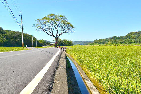 西湖伯朗大道